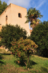 Alhambra palace, Granada, Andalusia. December 2020