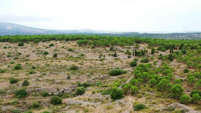 Survol des Corbi&egrave;res, &eacute;oliennes dans la garrigue et les vignes
