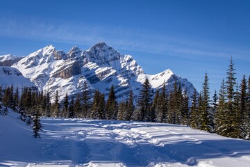 Icefields Parkway