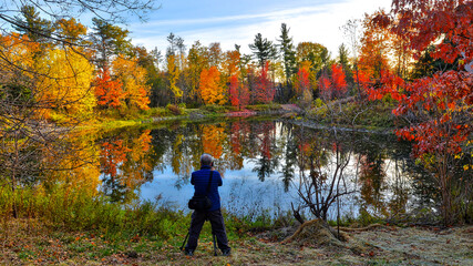 Picturesque autumn scenes of autumn leaf colour with the silhouette of a photographer