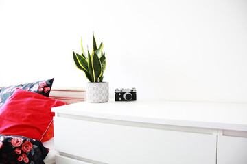modern bedroom interior with flower pot and vintage camera