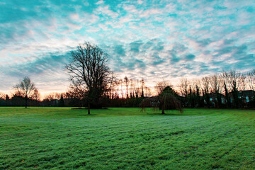 sunrise over the field