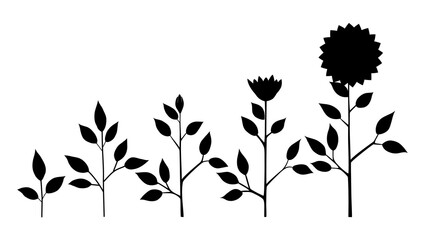 sunflower plant growth stages silhouette, abstract flower symbols isolated on white background. Sunflower life cycle. Flat style.