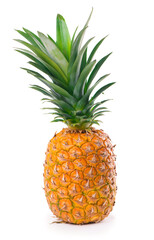 Ripe whole pineapple isolated on the white