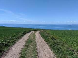 path leading to the sea