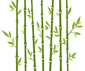 Bamboo forest set. Nature Japan, China. Plant Green tree with leaves. Rainforest in Asia.