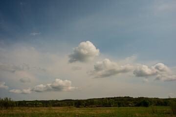Obraz premium Clouds on blue sky and deciduous forest and meadow.