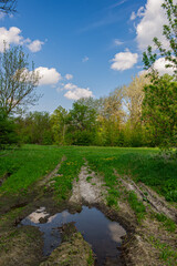 Dirt road with puddles in the meadow, rural landscape.