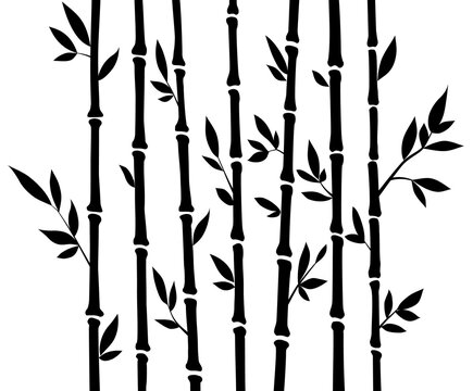 Bamboo silhouette forest set. Nature Japan, China. Plant black tree with leaves. Rainforest in Asia. © the8monkey