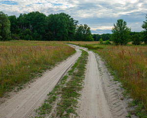 Fototapeta na wymiar sandy dirt road in the meadow and deciduous trees.