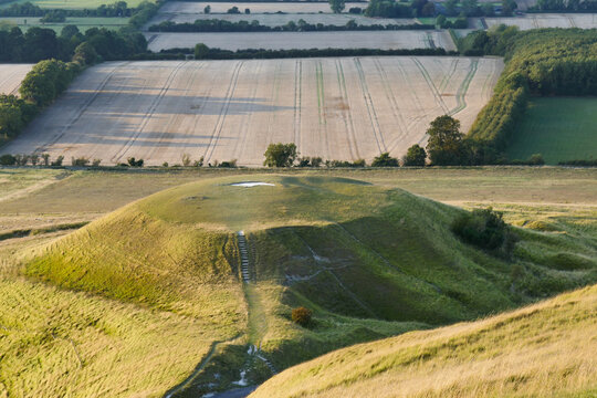 Dragon Hill from White Horse Hill Uffington at sunset with fields in background