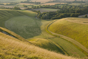 Curved grasslands seen from above at sunset from White Horse Hill Uffington 