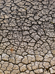 Risse und Rillen in vertrocknetem Lehmboden