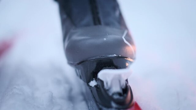 Cross country skier wears the ski. Extreme close up shot of the ski to shoe attaching process