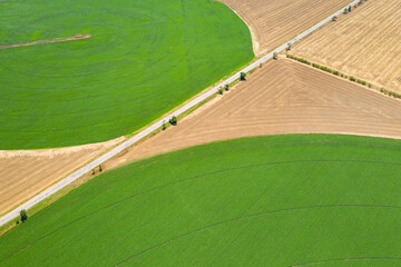aerial abstract view to the road between green fields of corn