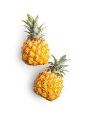 Ripe baby pineapple. Mini pineapple isolated on white background.