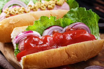 Hot dogs with onion, tomato and lettuce close-up shot