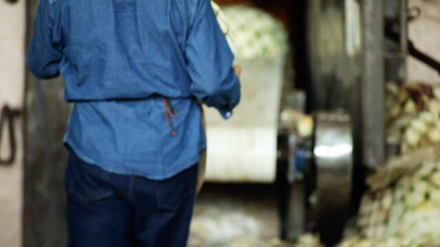 Workers throwing chopped agave hearts into oven