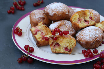 Homemade muffins with red currants, sprinkled with powdered sugar, arranged on a dark background. Closeup. Horizontal format