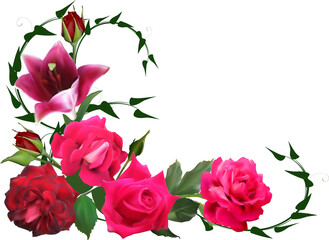 rose and red lily flowers design isolated on white