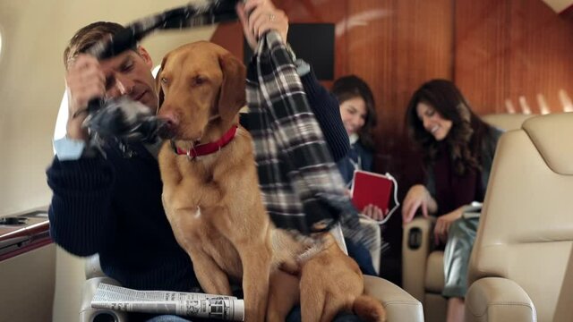 Caucasian man wrapping scarf on dog on private jet