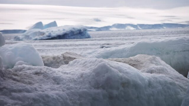Adelie penguins dive between icebergs into ocean