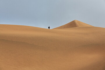 Tourist on a sand dune ridge. Badain Jaran Desert-Inner Mongolia-China-1166