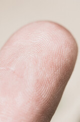 Macro view of a finger print