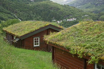 Obraz premium Typical old wood house with grassroof in the fjords of Geiranger in Norway
