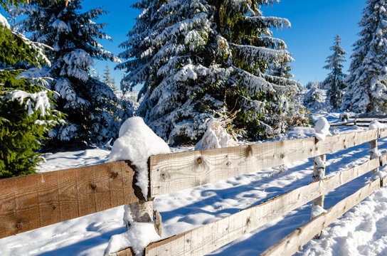 View to a winter landscape with wooden fence, near to Marisel village from Cluj county, Romania.