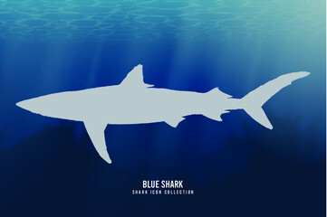 Blue Shark