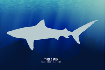 Tiger shark