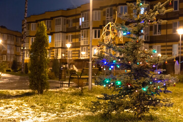 Decorated Christmas trees in the city. New year's mood from the neighbors.