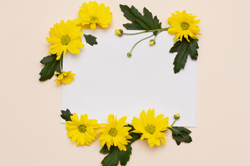 yellow flowers with unopened buds and green leaves lie on a beige background in comparison with an empty white square. Floral blank mockup. Concept, template for the spring holidays