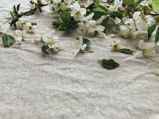 Fototapeta na wymiar Spring flowers on rustic linen fabric. Hello spring and Happy Easter! Aesthetic simple image