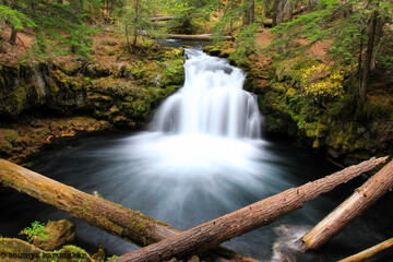 Oregon Waterfall