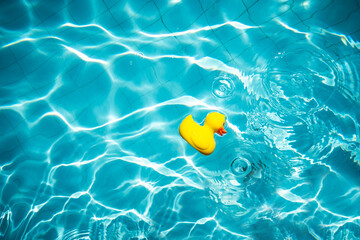 Yellow rubber duck toy on swimming pool and sun rays