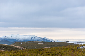 Horizontal panoramic image in a sunset. Snowy photo and partially covered with ice. Pollution-free, clean air on a cloudy winter day. Living vegetation in the snow