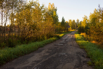 Fototapeta premium Autumn road