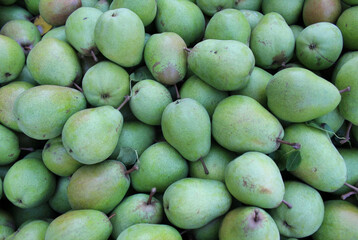 Pears from a plantation
