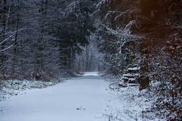 Waldweg im Winter Schneebecekct
