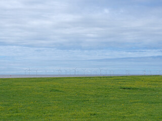 Fototapeta na wymiar grass on the coast at blundell sands in crosby near southport with the wind turbines at burbo bank visible in the distance