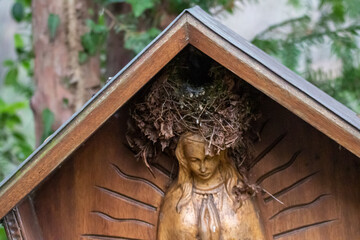 Vogelnest Melatenfriedhof Köln