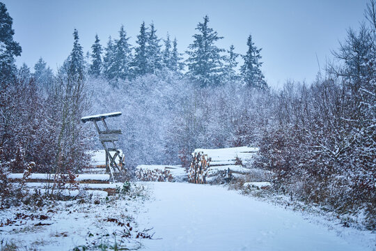 J&auml;gerstand, Hochsitz und Holzpolter mit Baumst&auml;mmen im Wald bei Schneefall im Winter