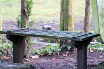 Bank Melatenfriedhof K&ouml;ln