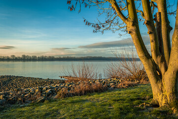 Blick über die Elbe bei Wedel