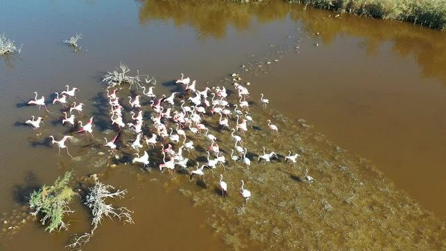 survol des &eacute;tangs de Bages (parc naturel de la Narbonnaise)