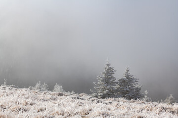Winter in the Karkonosze Mountains
