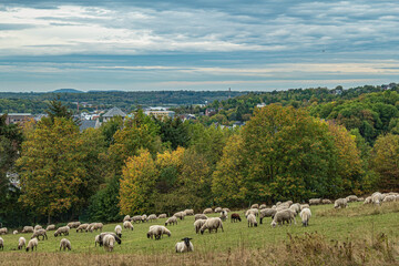 Blick vom Hammerberg auf die Kupferstadt Stolberg