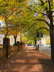 Chestnut Street in Philadelphia City Centre in autumn